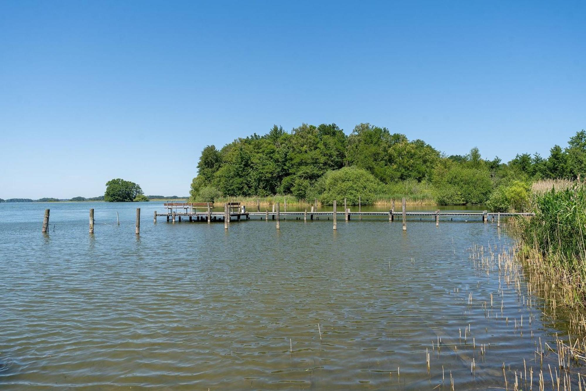 Haus Schwanensee Seeblick Bischofsee Bosau ภายนอก รูปภาพ